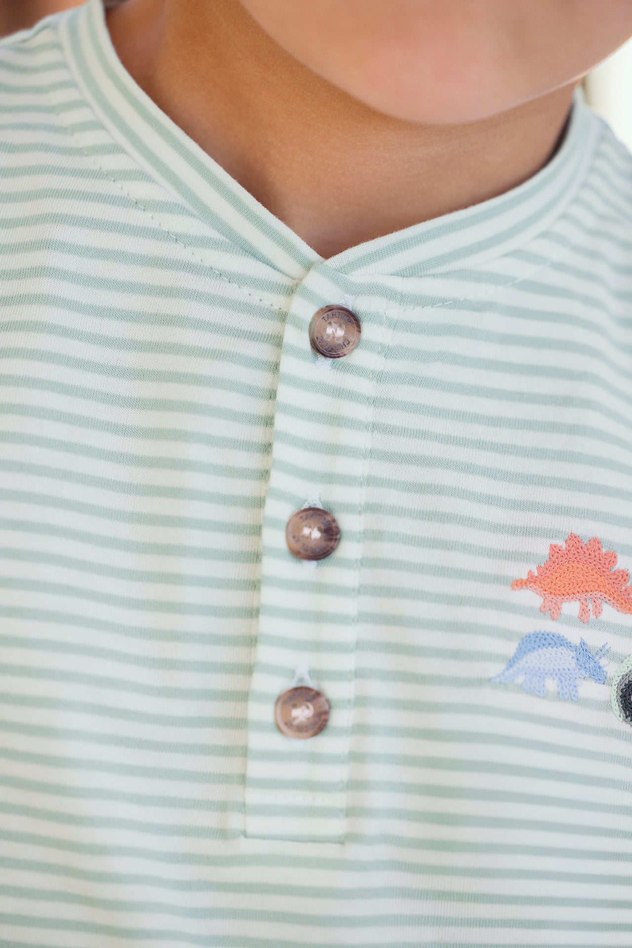 T-shirt - Cotton sage Stripes dinosaurs