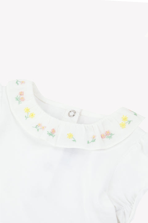 CC11071-01 - CORPO9  - Image principale