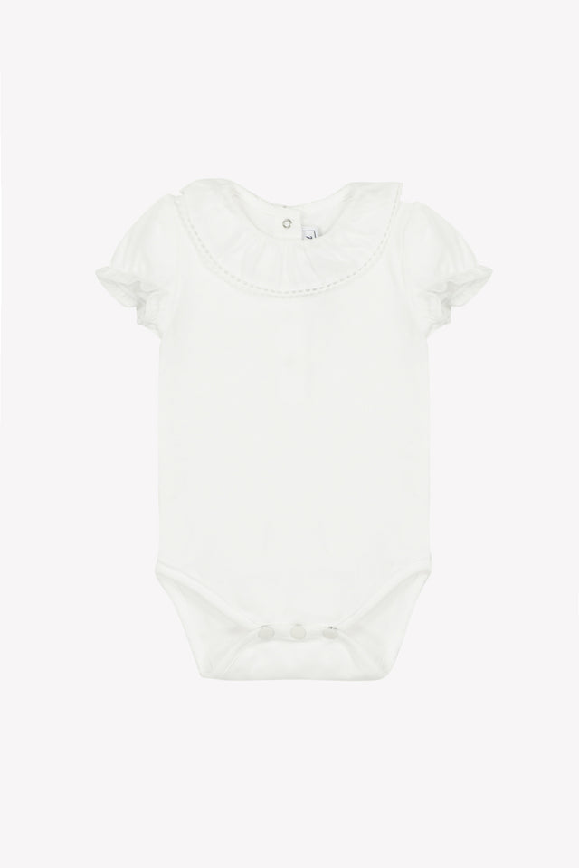 CC11081-13 - CORPO10  - Image principale