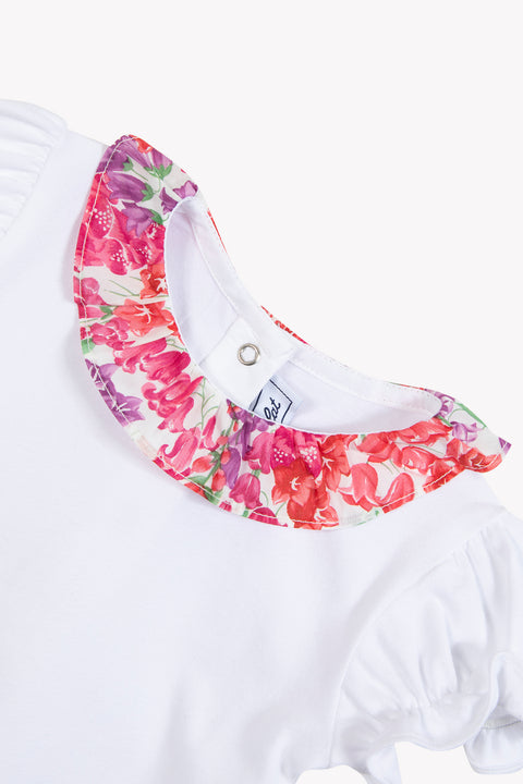 CC11111-35 - CORPO13  - Image principale