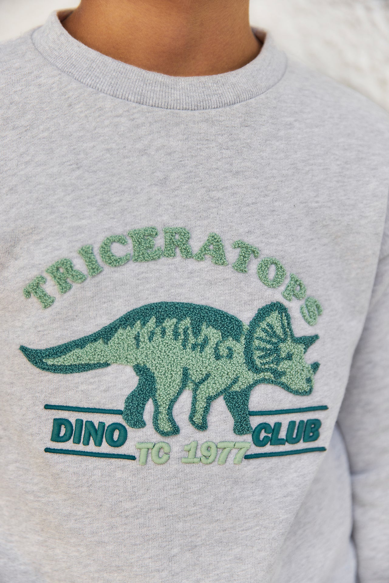 Sweatshirt - Grau Heather Dino Club