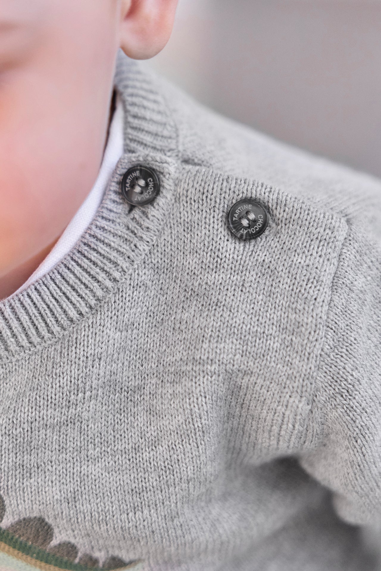 Maglia - Grigio Illustrazione esploratore