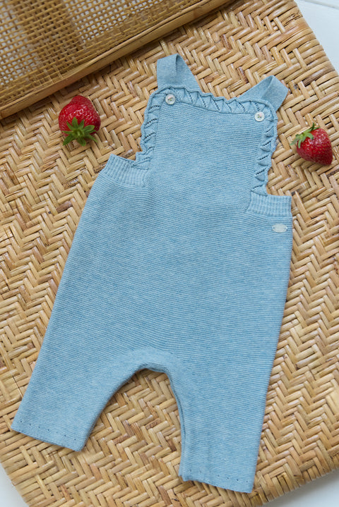 Overalls - Blau Baumwolle - Image principale