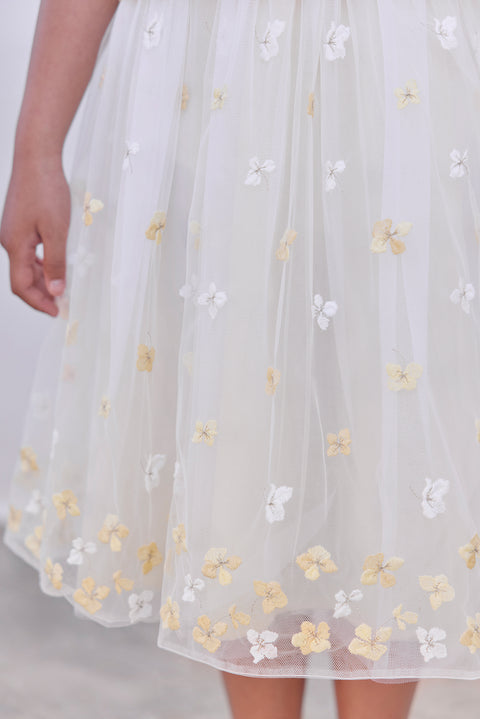 CC27002-71 - JUPONA  - Image principale