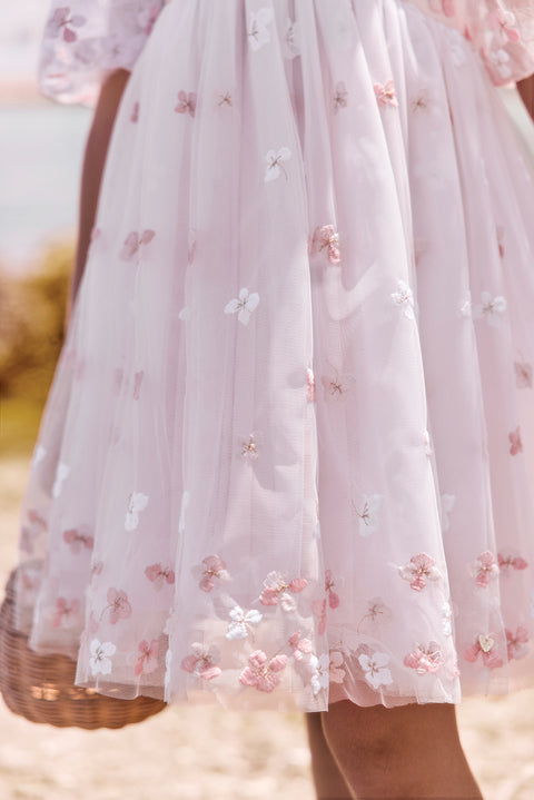 CC30172-32 - ROBER  - Image principale