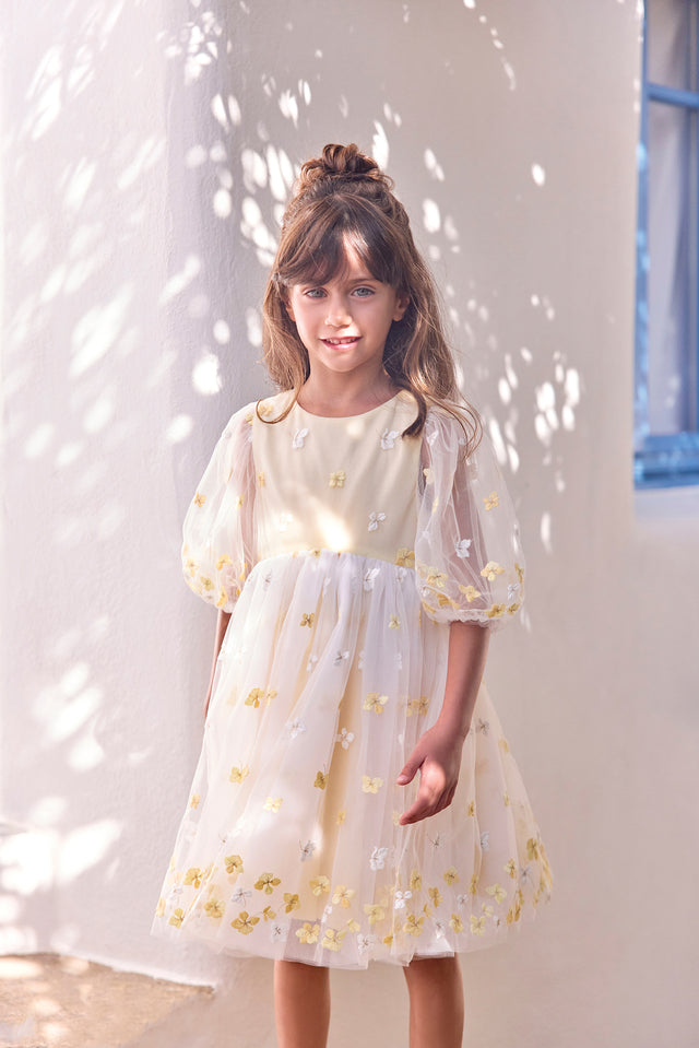 CC30172-71 - ROBER  - Image principale