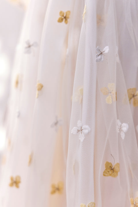 CC30172-71 - ROBER  - Image principale