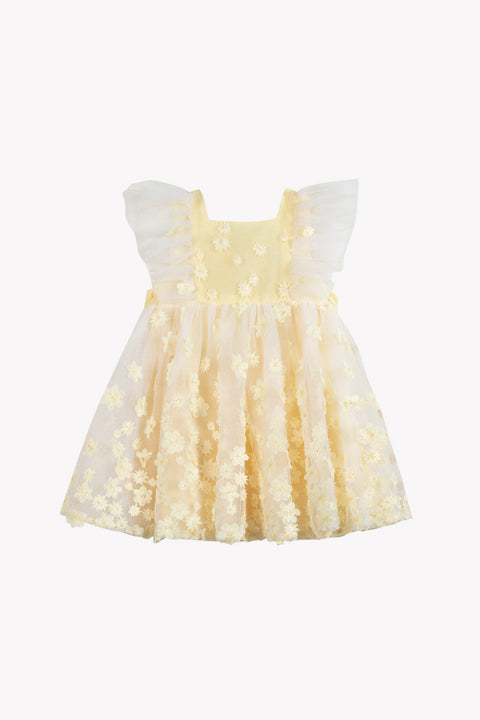 CC30191-07 - KLEID22  - Image principale