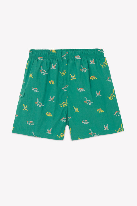 Kurze Hose Bad - Grün DruckDinosaurier - Image principale