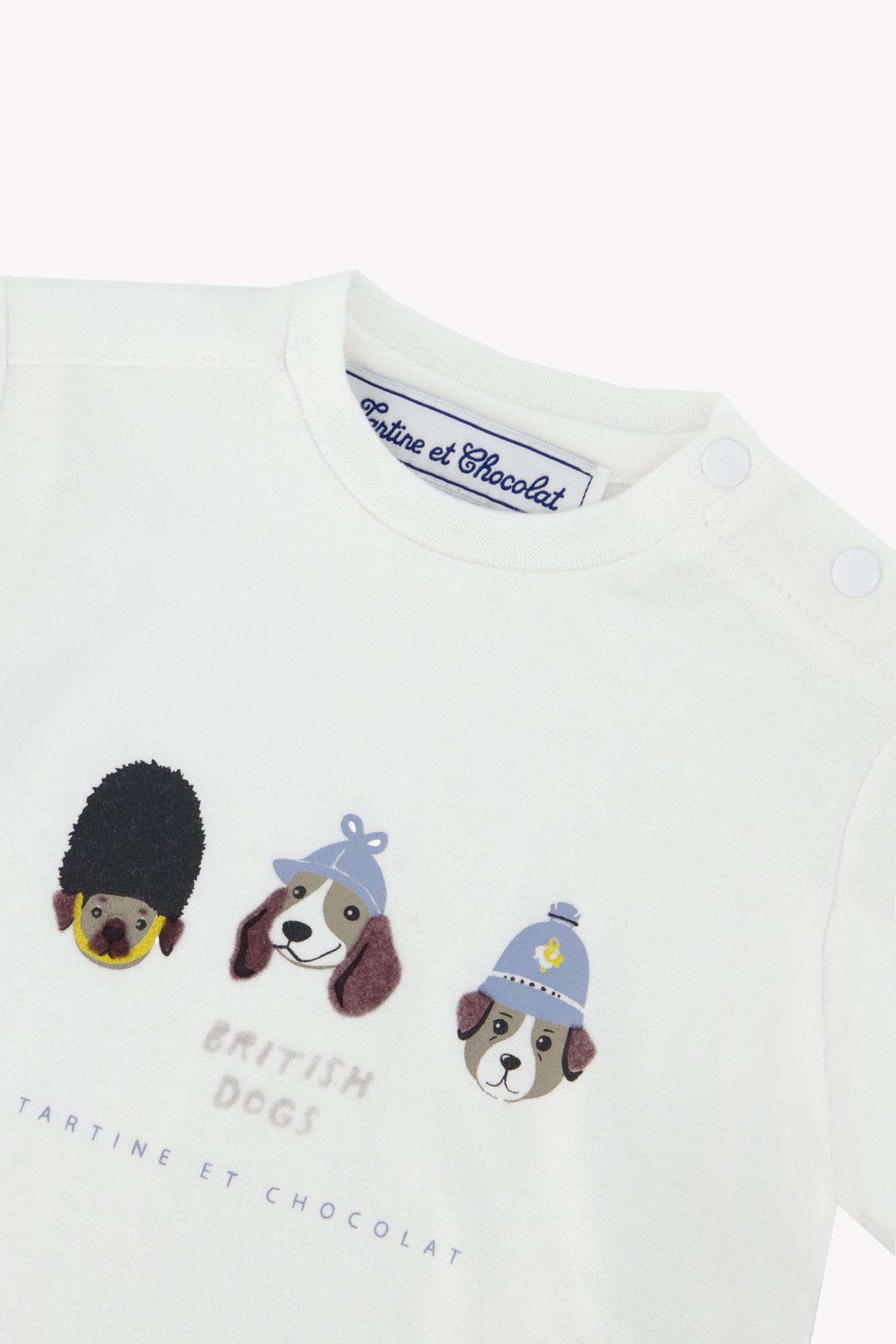 T-shirt - Bordeaux coton imprimé british dogs