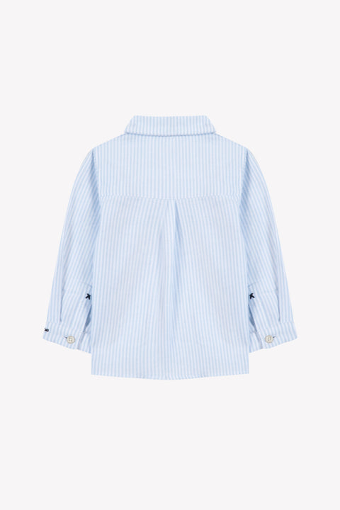 Shirt - Sky blue cotton Stripes - Image principale