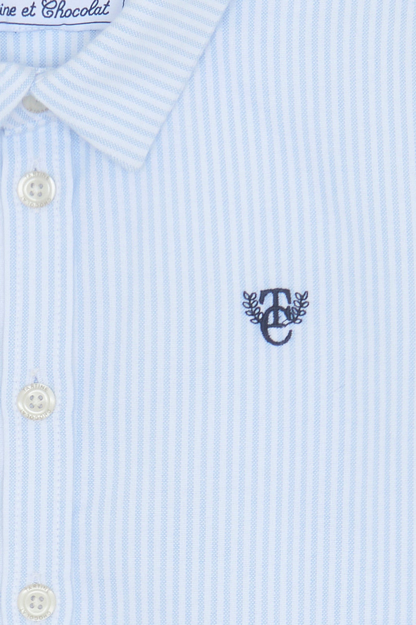 Camicia - Celeste cotone Righe