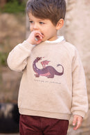 Pull - Sable coton imprimé dinosaure