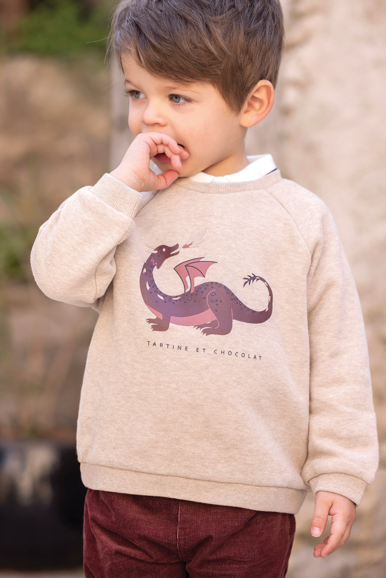 Pull - Sable coton imprimé dinosaure