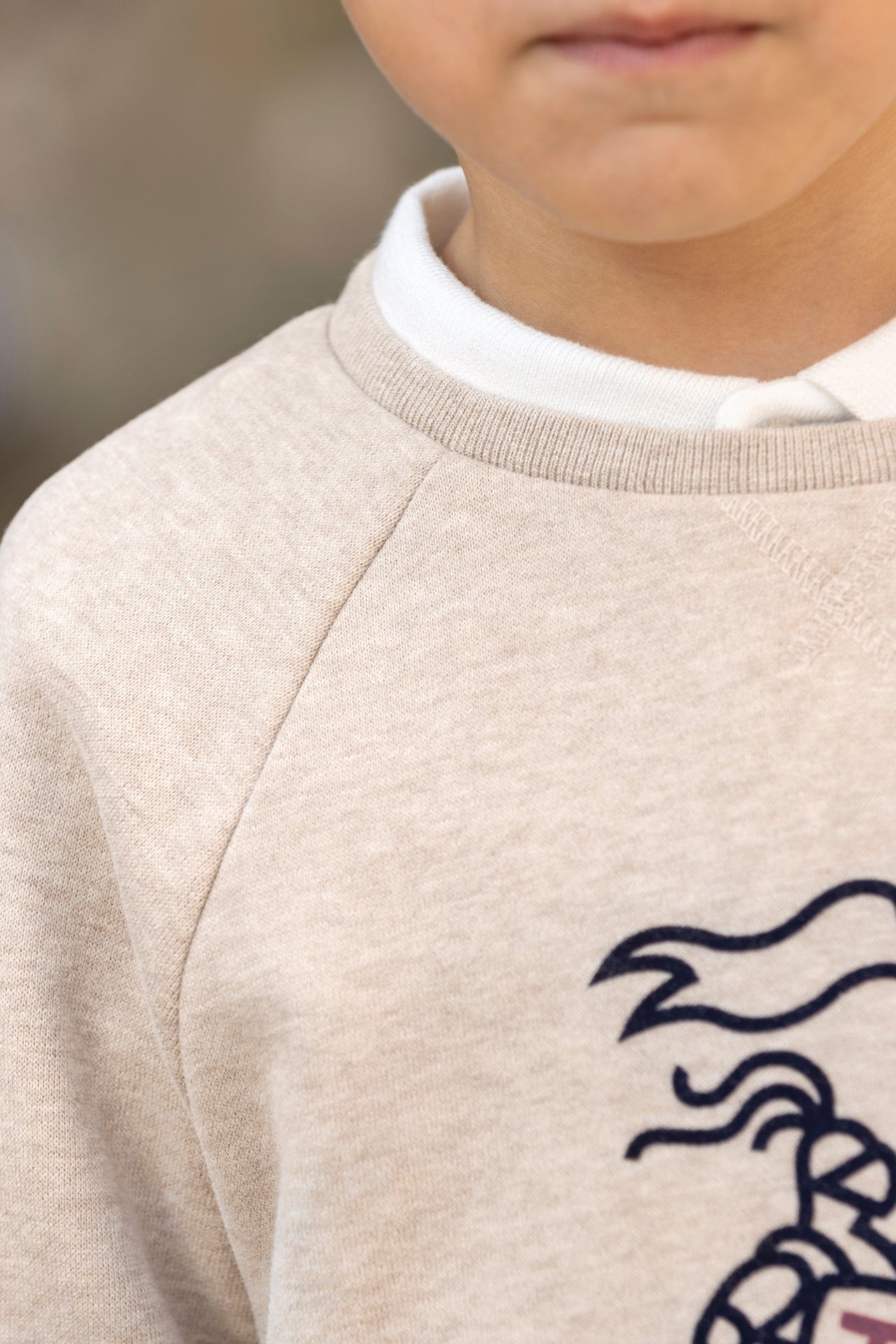 Maglia - Stampa cavaliere in cotone sabbia