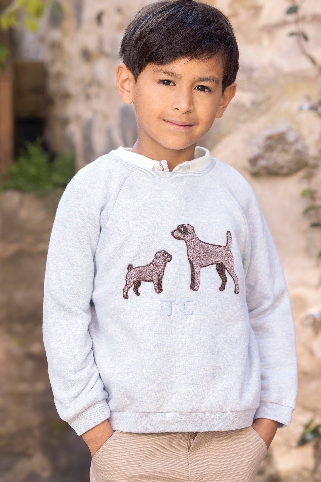 Jersey - Azul Horizonte algodonero Estampado perros