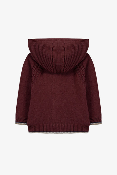 Gilet - Bordeaux Lana a Cappuccio zippato - Image principale