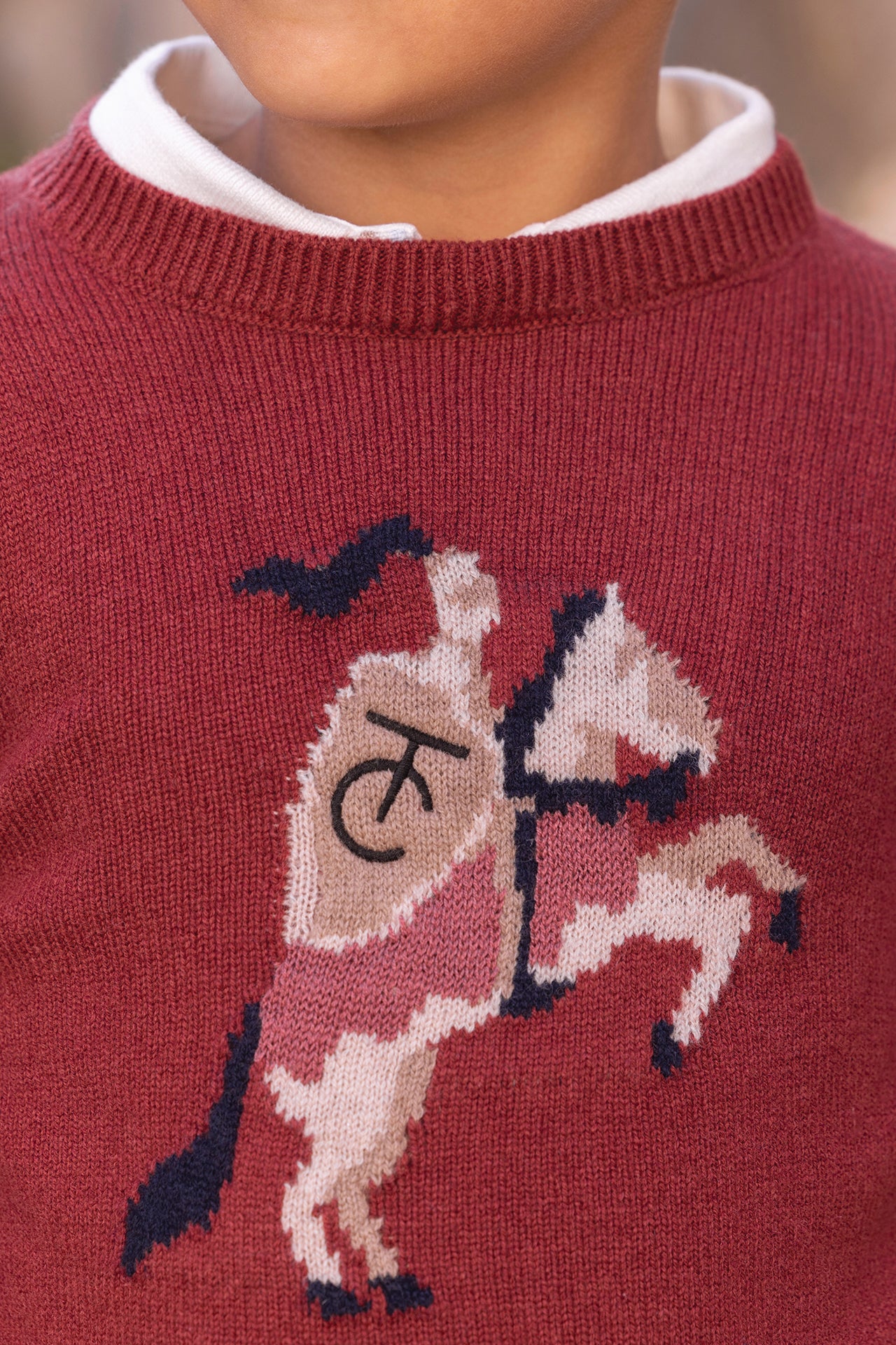 Pull - Bordeaux laine broderie chevalier
