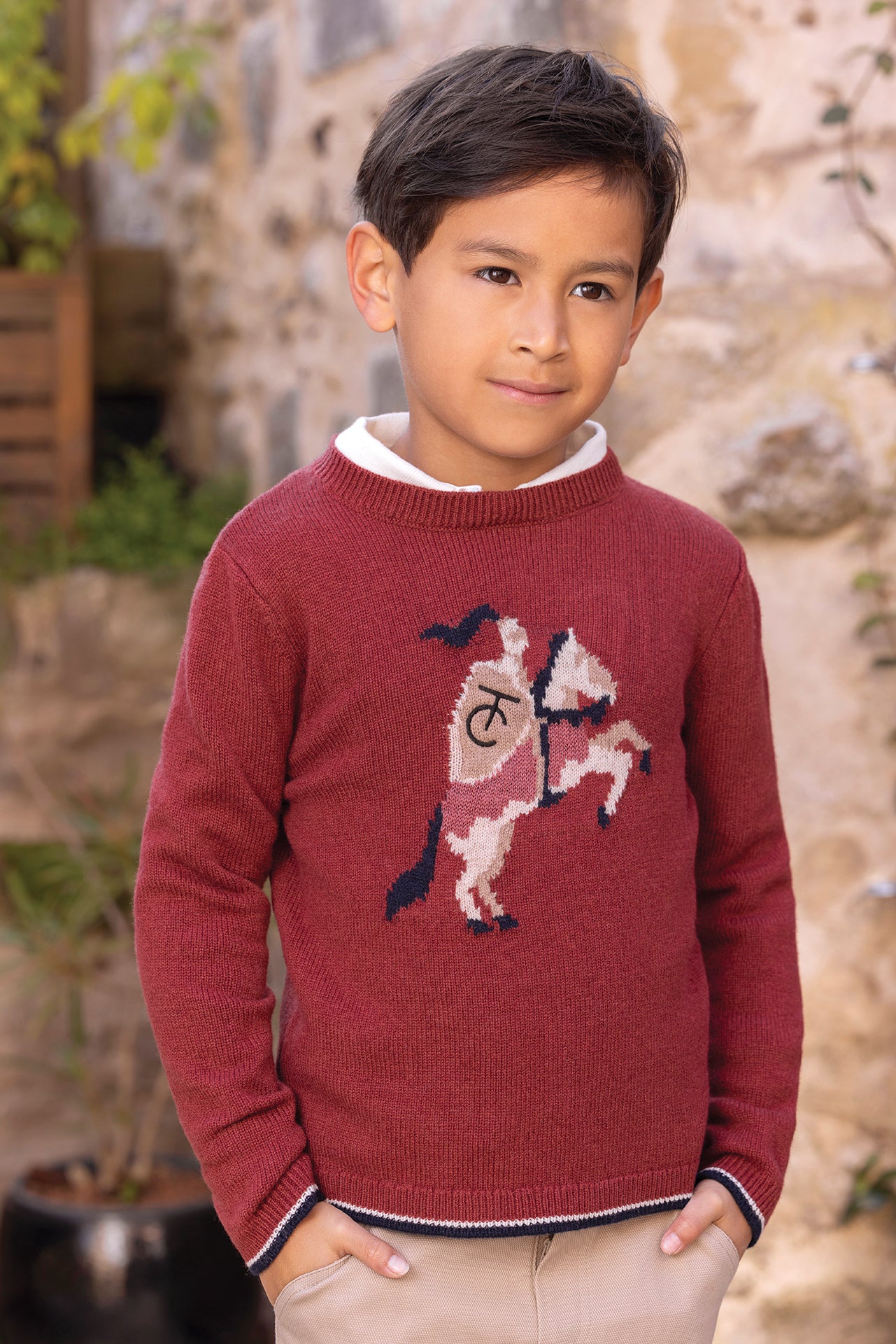 Pull - Bordeaux laine broderie chevalier