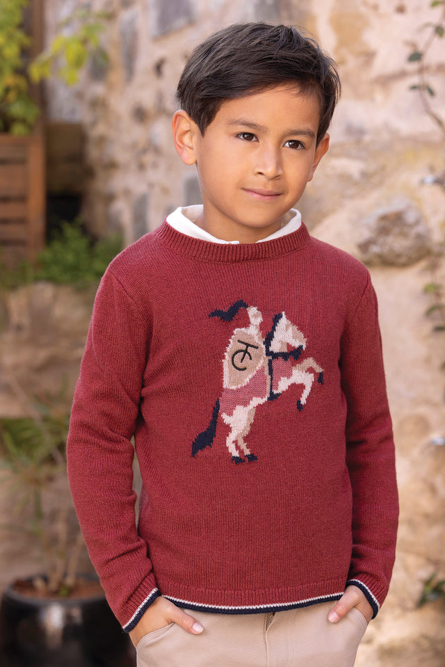 Maglia - Bordeaux Lana Ricamo cavaliere - Image principale