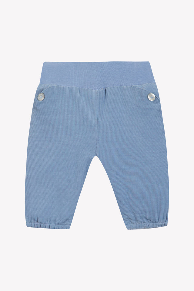Trousers - Blue grayed out Corduroy - Image principale