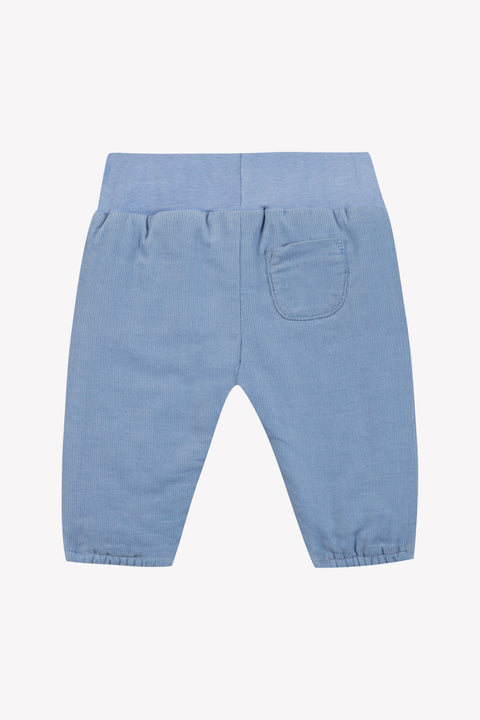 Trousers - Blue grayed out Corduroy - Image principale