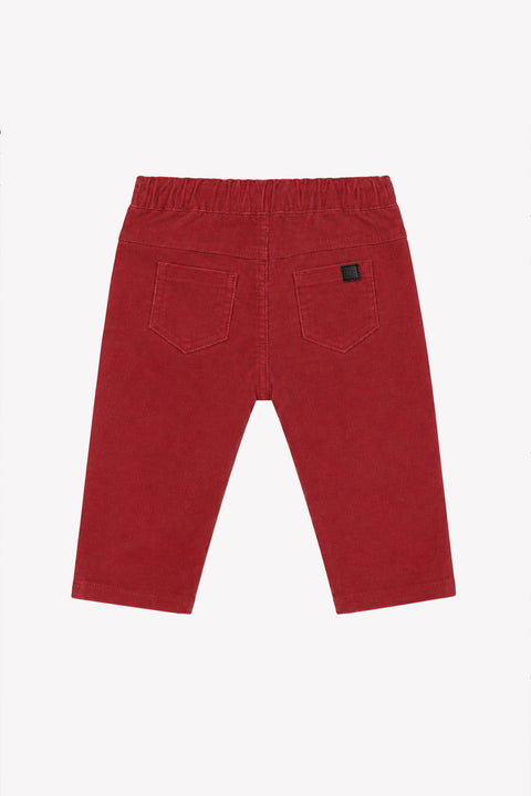 Pantalon - cereza Pana - Image principale