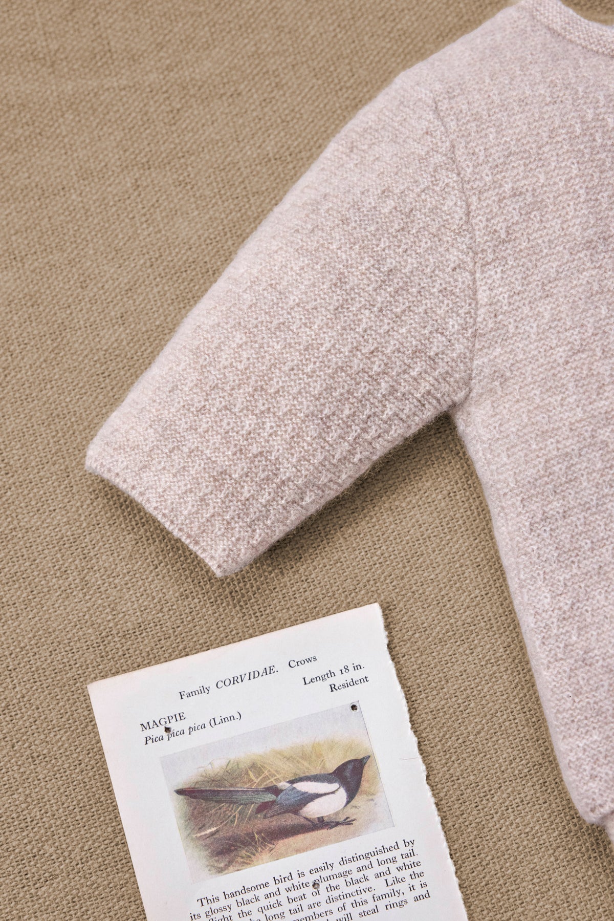 Ensemble long - Beige cachemire
