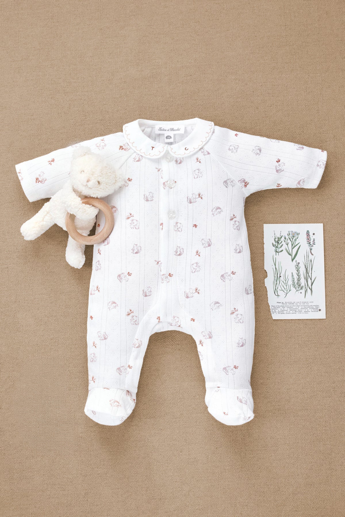 Pyjama - Ecru coton motif écureuil