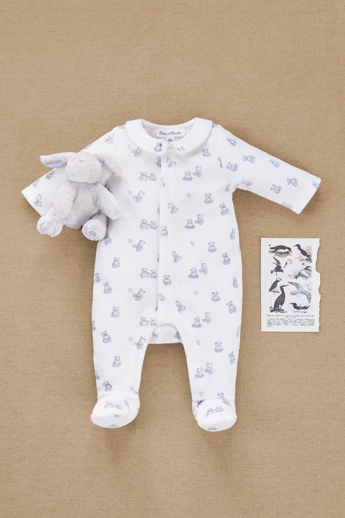 Pyjama - Ecru coton motif ourson