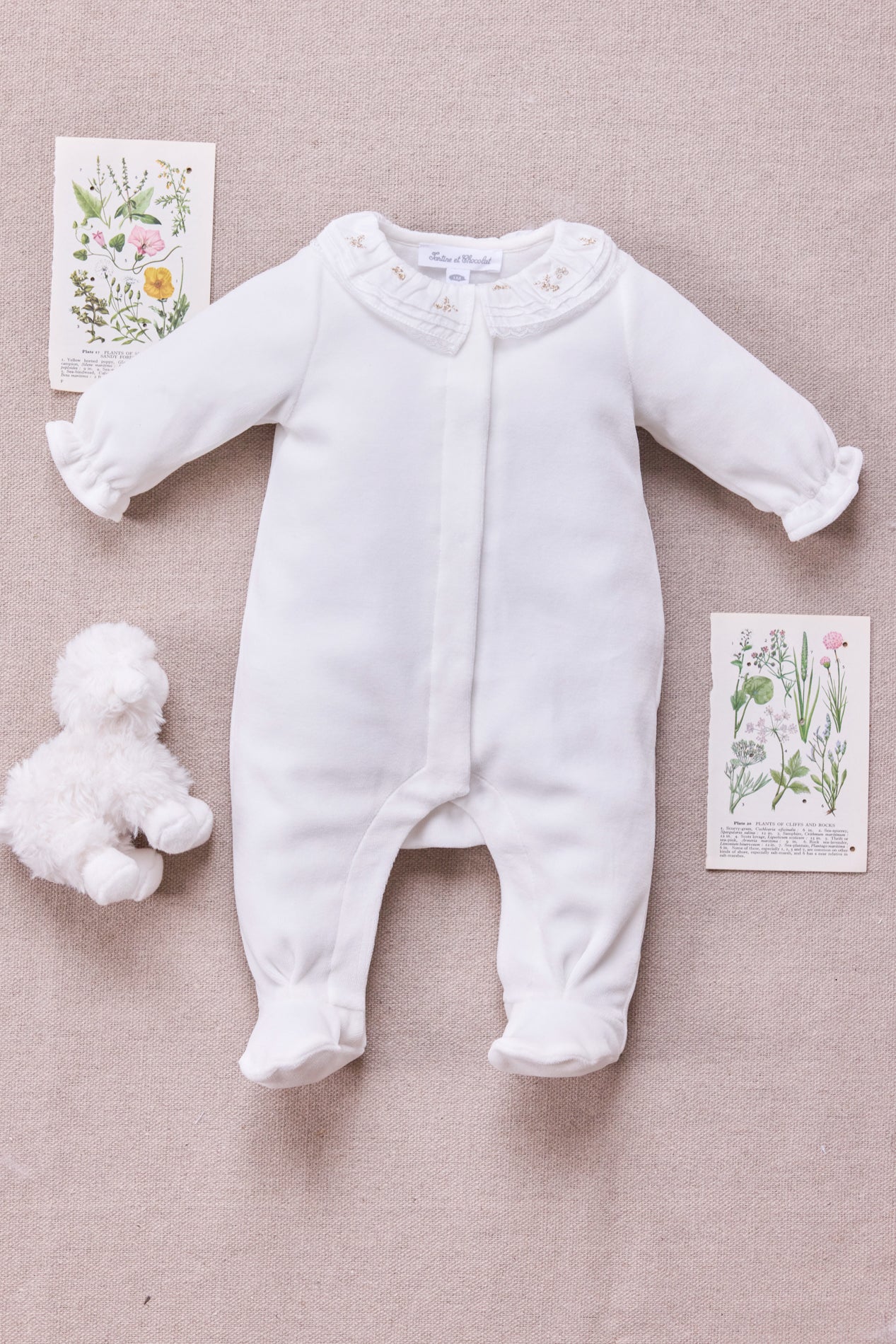 Pyjama - Ecru velours col volanté