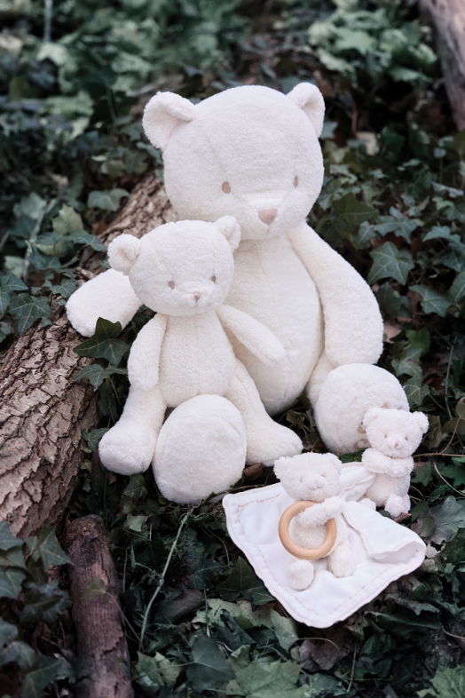 Gaston L'ourson Tartine et Chocolat