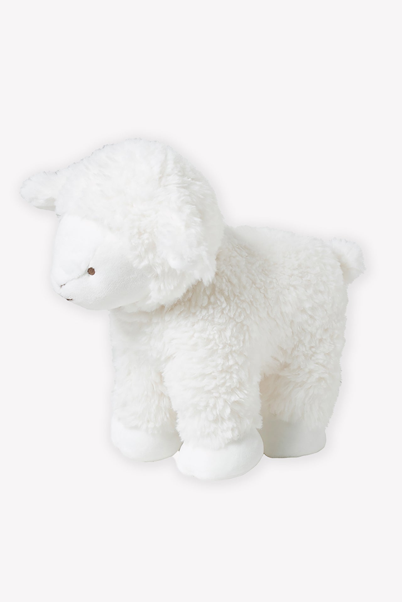 Edmond le mouton - 25 cm écru
