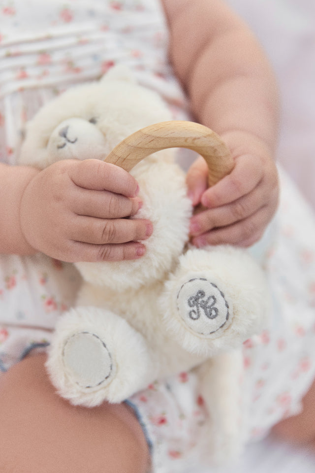 Odilon the kitten - Rattle - Image principale