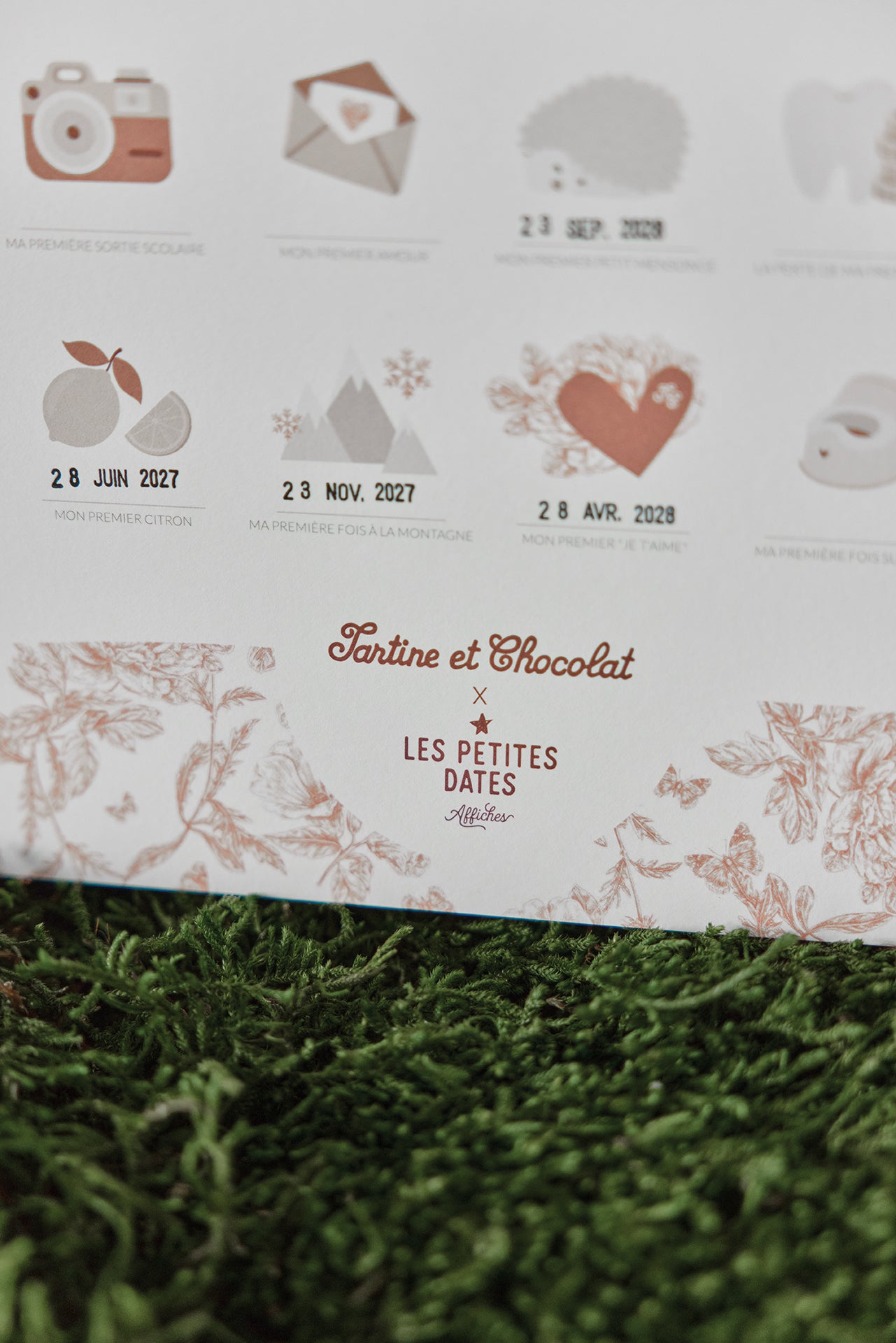 Poster stampato personalizzabile Toile de Jouy Rosa - Piccoli appuntamenti x Tartine et Chocolat