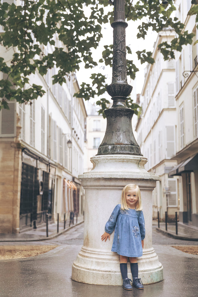 Robe - Bleu broderie fleurie - Image principale