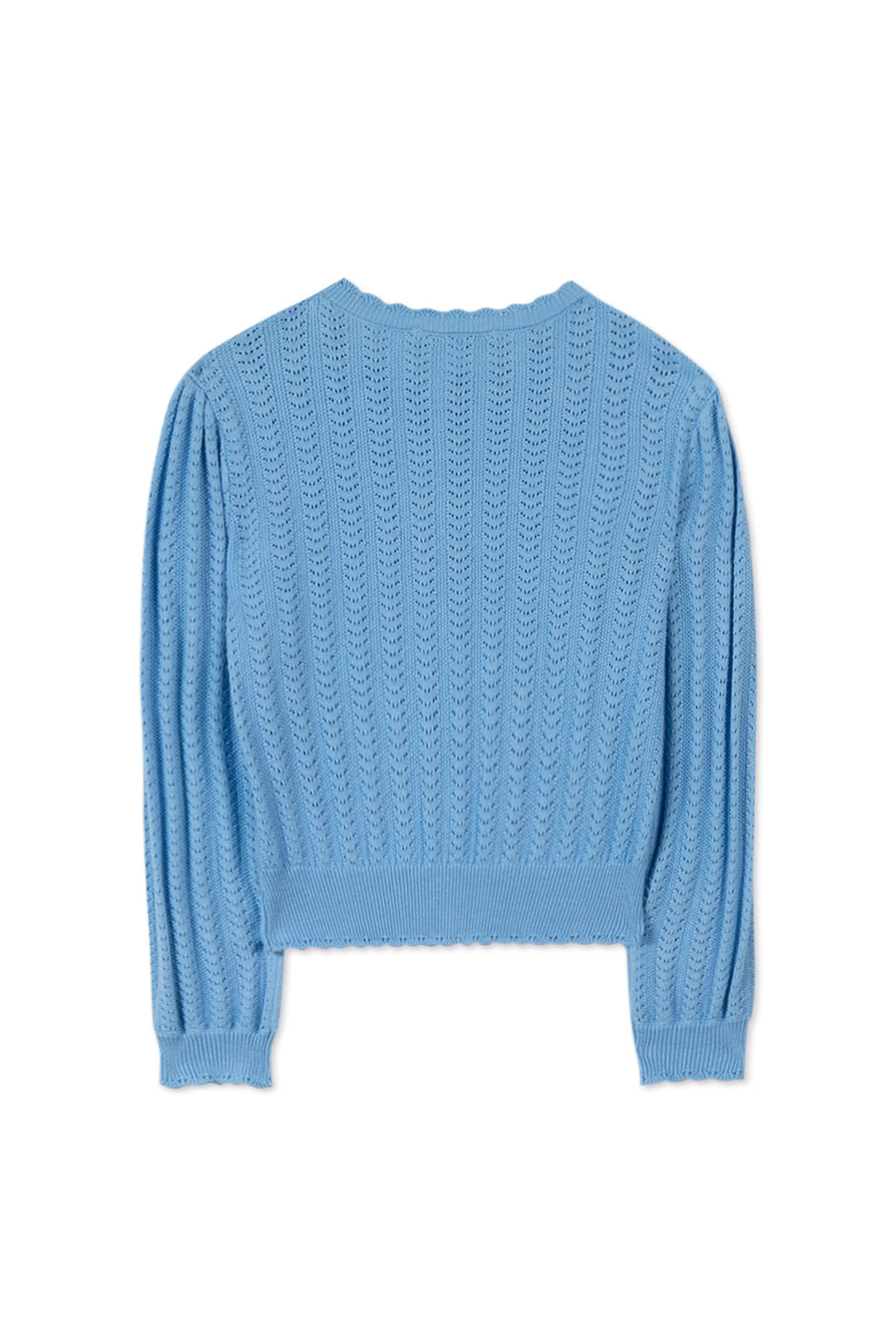 Cardigan - Blue Knitwear