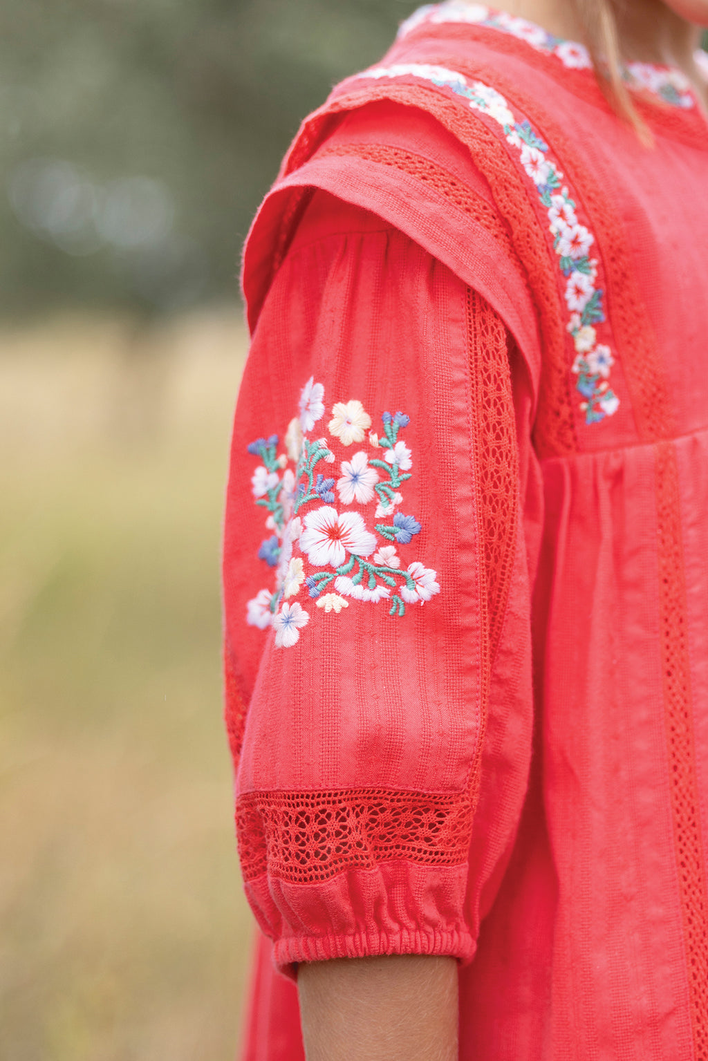 Dress - Red Floral embroidery