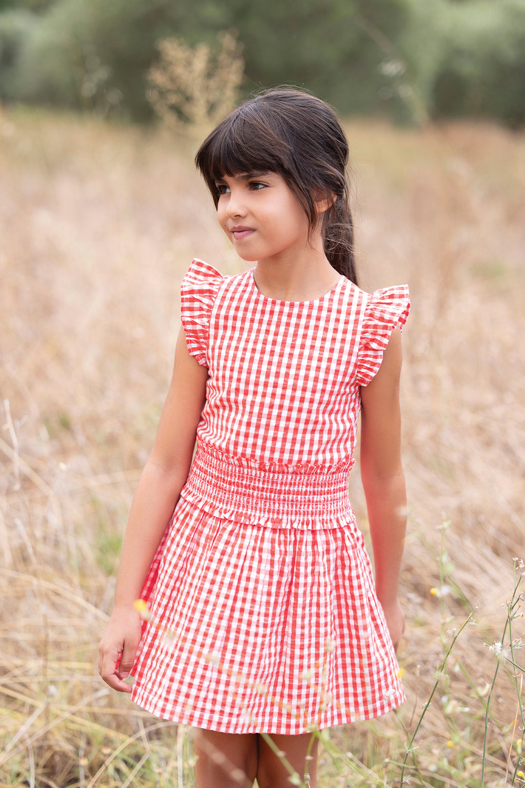 Dress - Red Two-tone gingham
