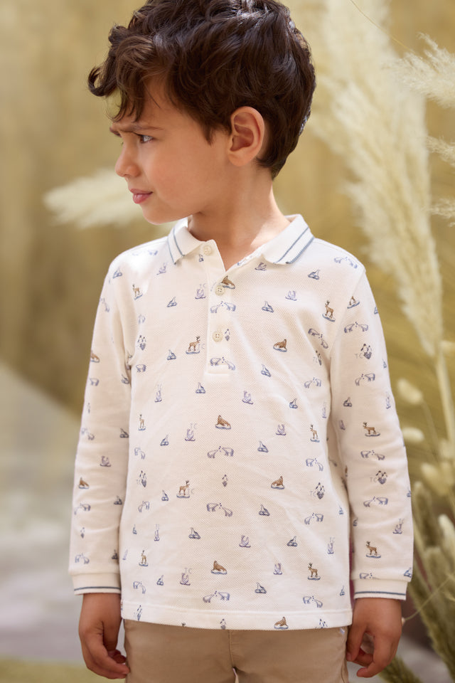 Polo - Arctic Explorer - Image principale