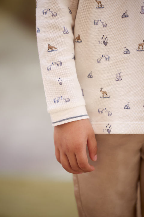 Polo - Arctic Explorer - Image principale