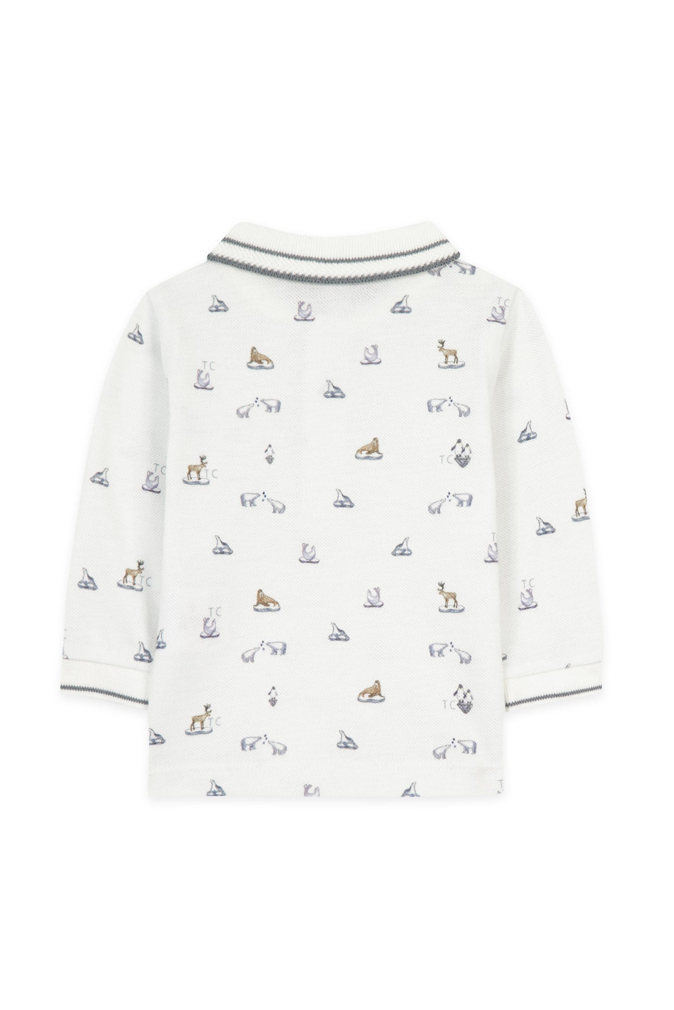 Polo – Arktischer Entdecker