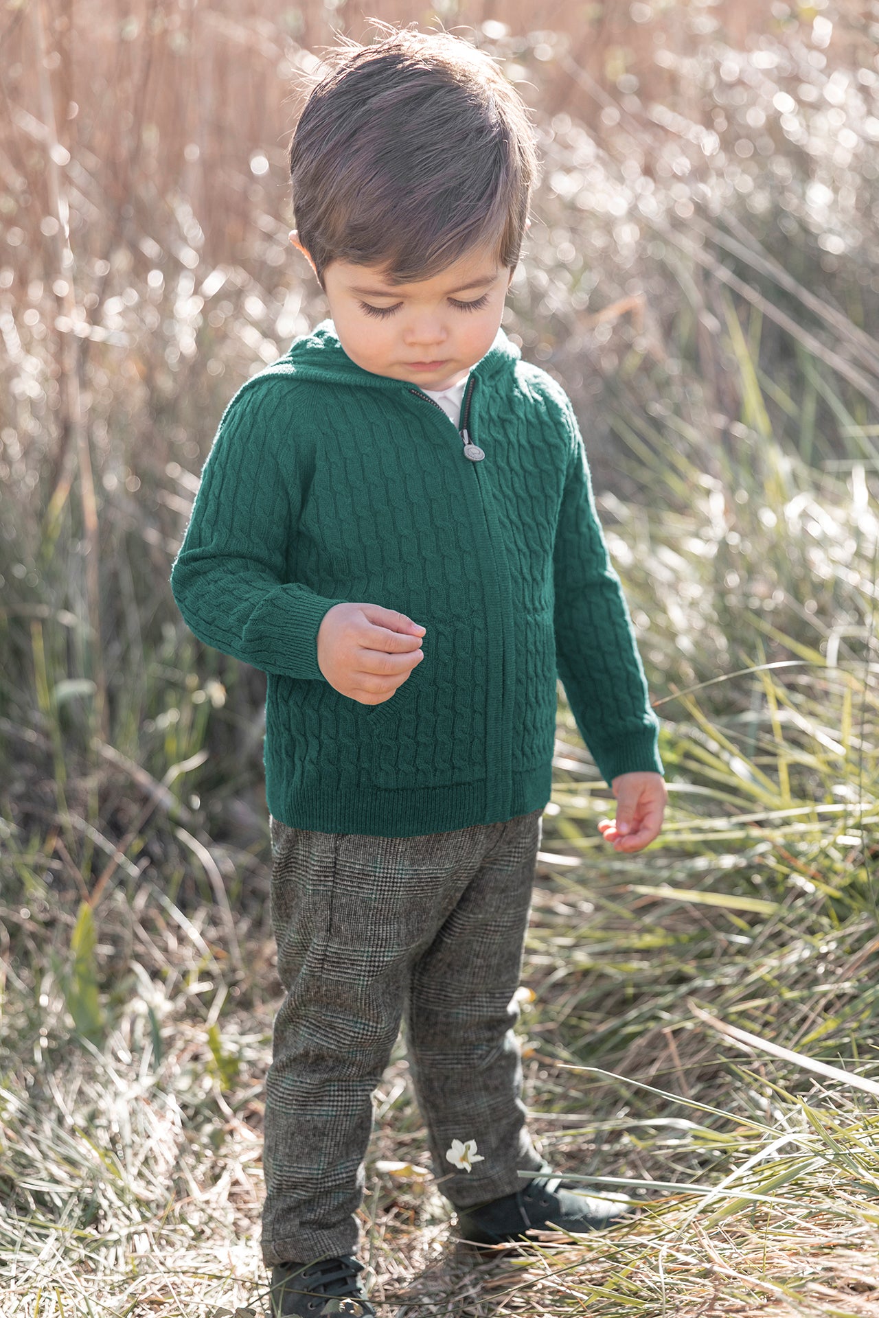 Broek - Groen wolotting Ruiten