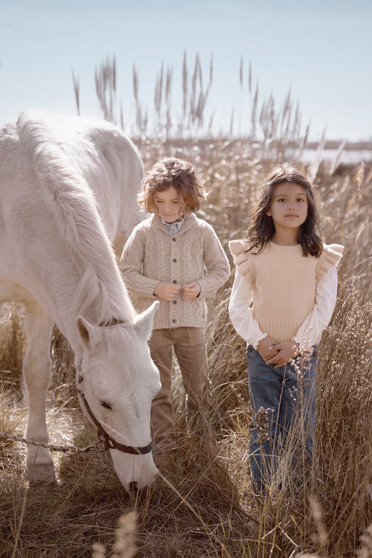 Trui Zandloos - Beige Gaas pluizig