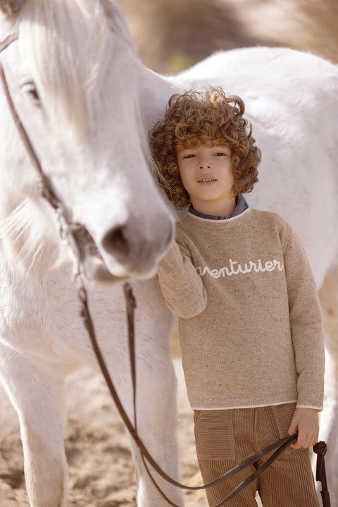 Pull - Sable aventurier - Image principale