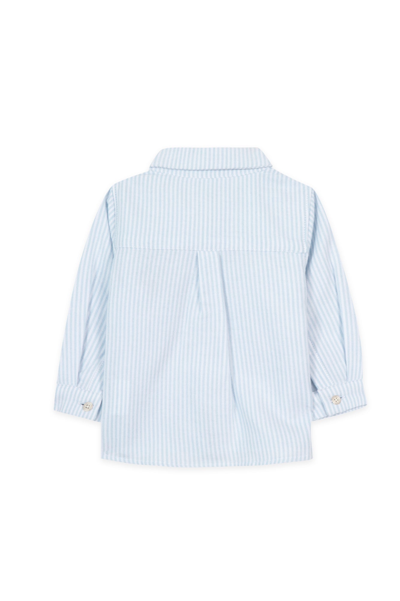 Camicia - Celeste a strisce
