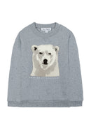 Felpa - Blu Grigioé Illustrazione lastrone di ghiaccio