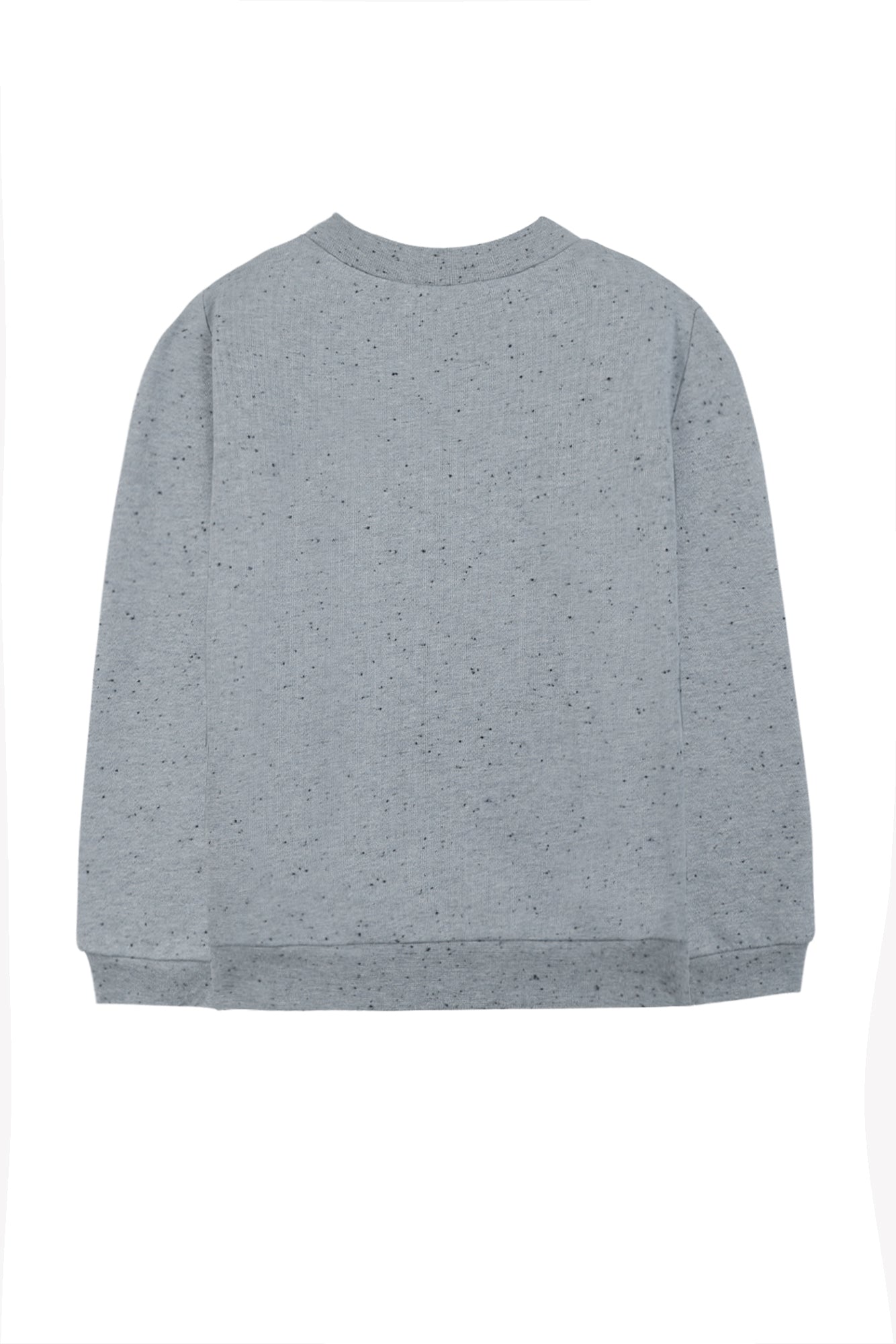 Felpa - Blu Grigioé Illustrazione lastrone di ghiaccio