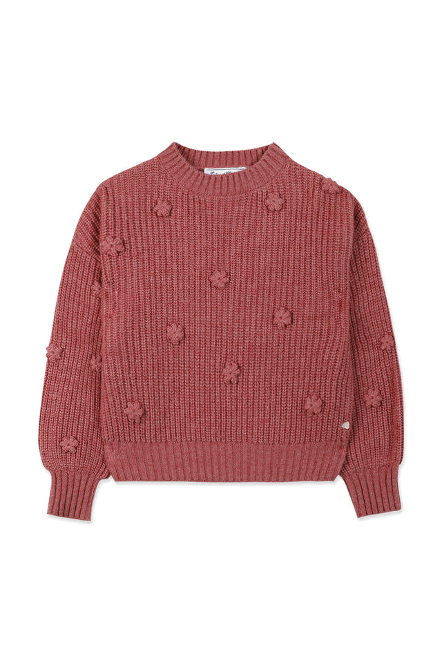 Pullover - Himbeere florale Stickerei - Image principale