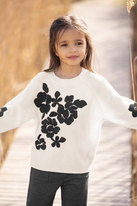 Pullover - Ecru Blumenstickerei - Image principale
